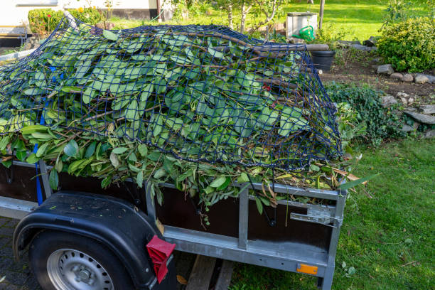 Best Shed Removal  in Whiteman Af, MO